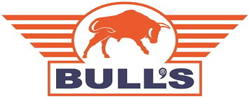 Bulls Darts